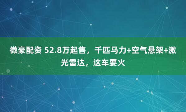微豪配资 52.8万起售，千匹马力+空气悬架+激光雷达，这车要火